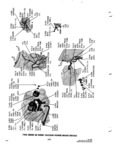 Previous Page - Parts and Accessories Catalog 31 January 1964