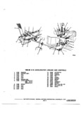 Previous Page - Chassis and Body Parts Catalog P&A 72TL May 1979